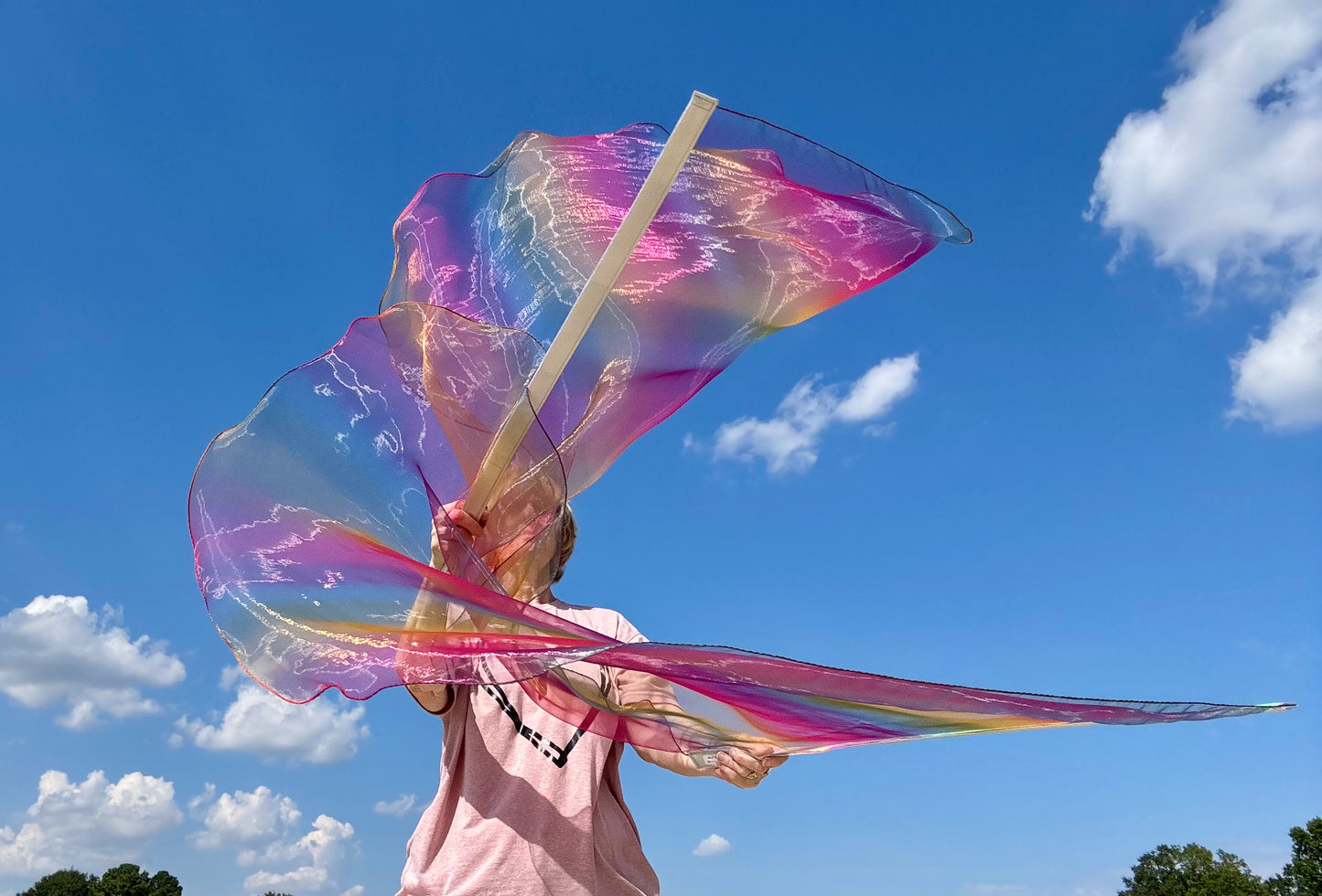 God's Promise Worship Praise Dance Flags (Medium)