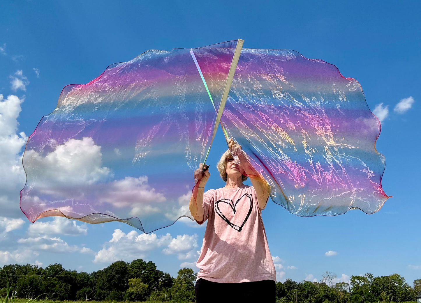 God's Promise Worship Praise Dance Flags (Medium)