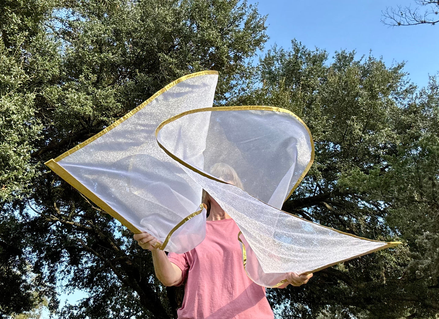 Bride of Christ Worship Praise Dance Flags (Small)