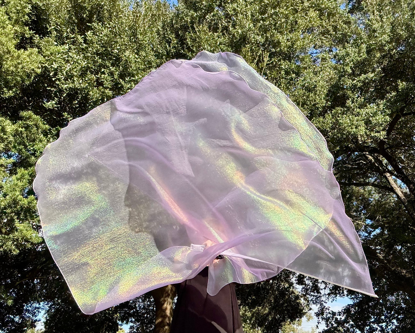 Dew from Heaven Worship Praise Dance Flags (Large)