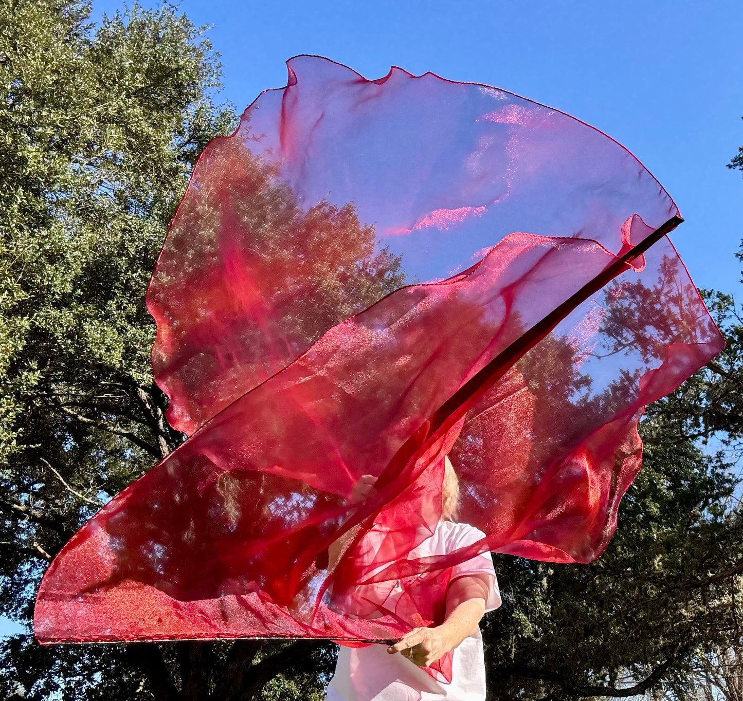 Blood of Christ Worship Dance Praise Flag (Large)