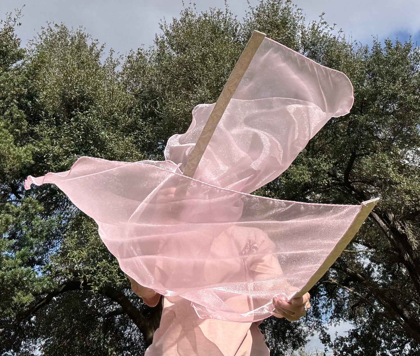 Reconciliation Worship Praise Dance Flags (Small)