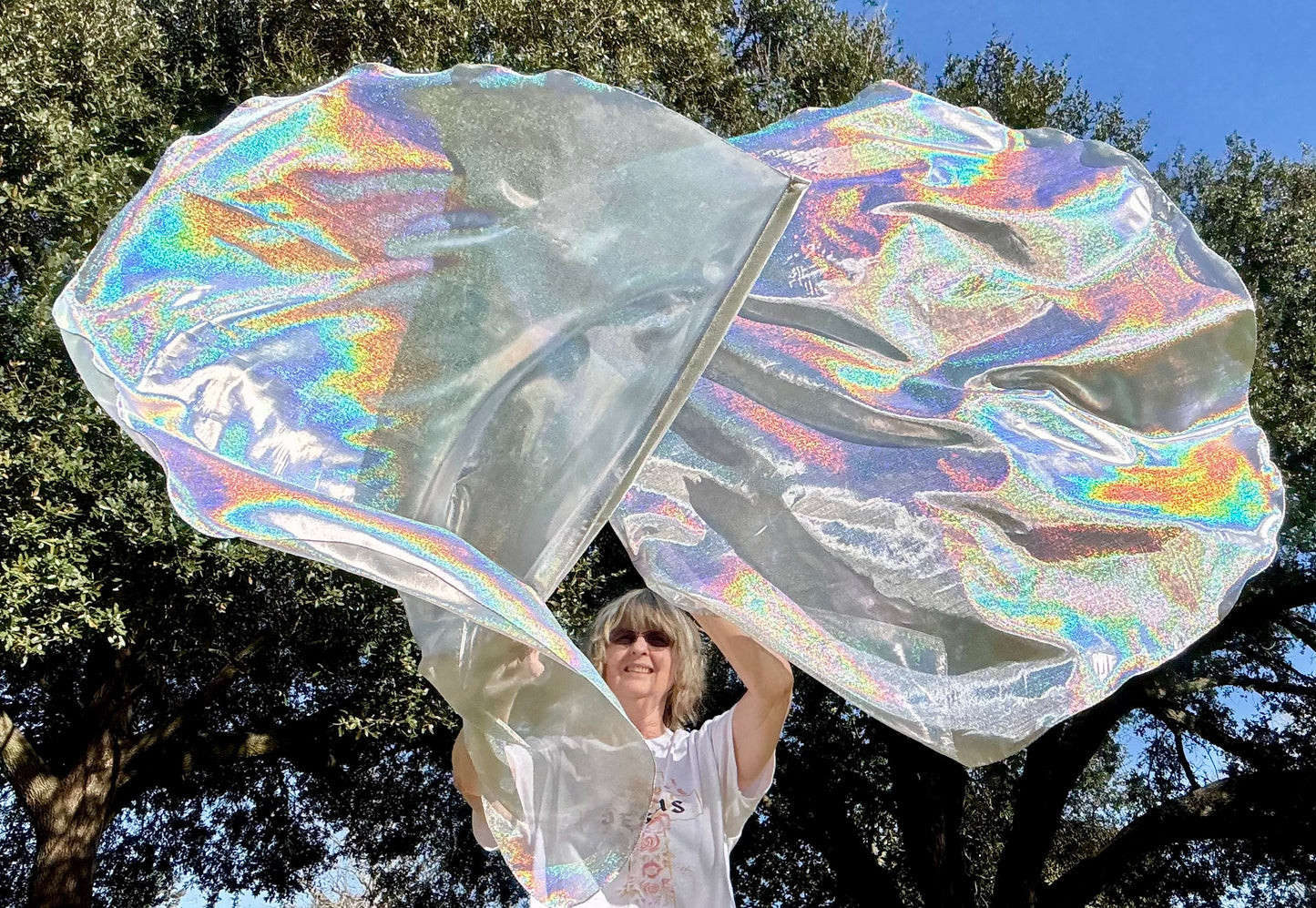 Flashing Sword (Holographic) Worship Praise Dance Flags (Large)