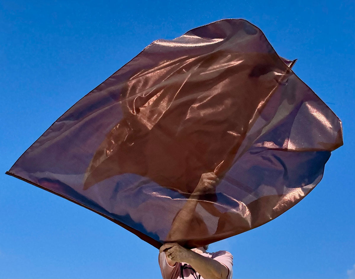 Bronze Shield Worship Praise Dance Flags (Medium)