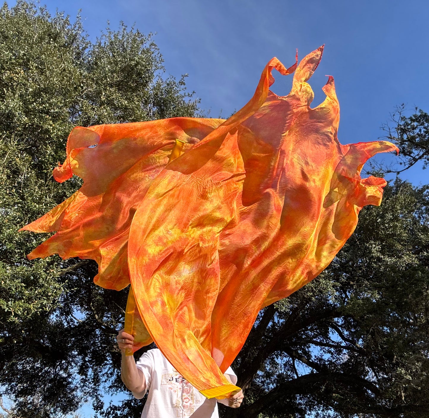 Silk Fire Worship Dance Praise Flag