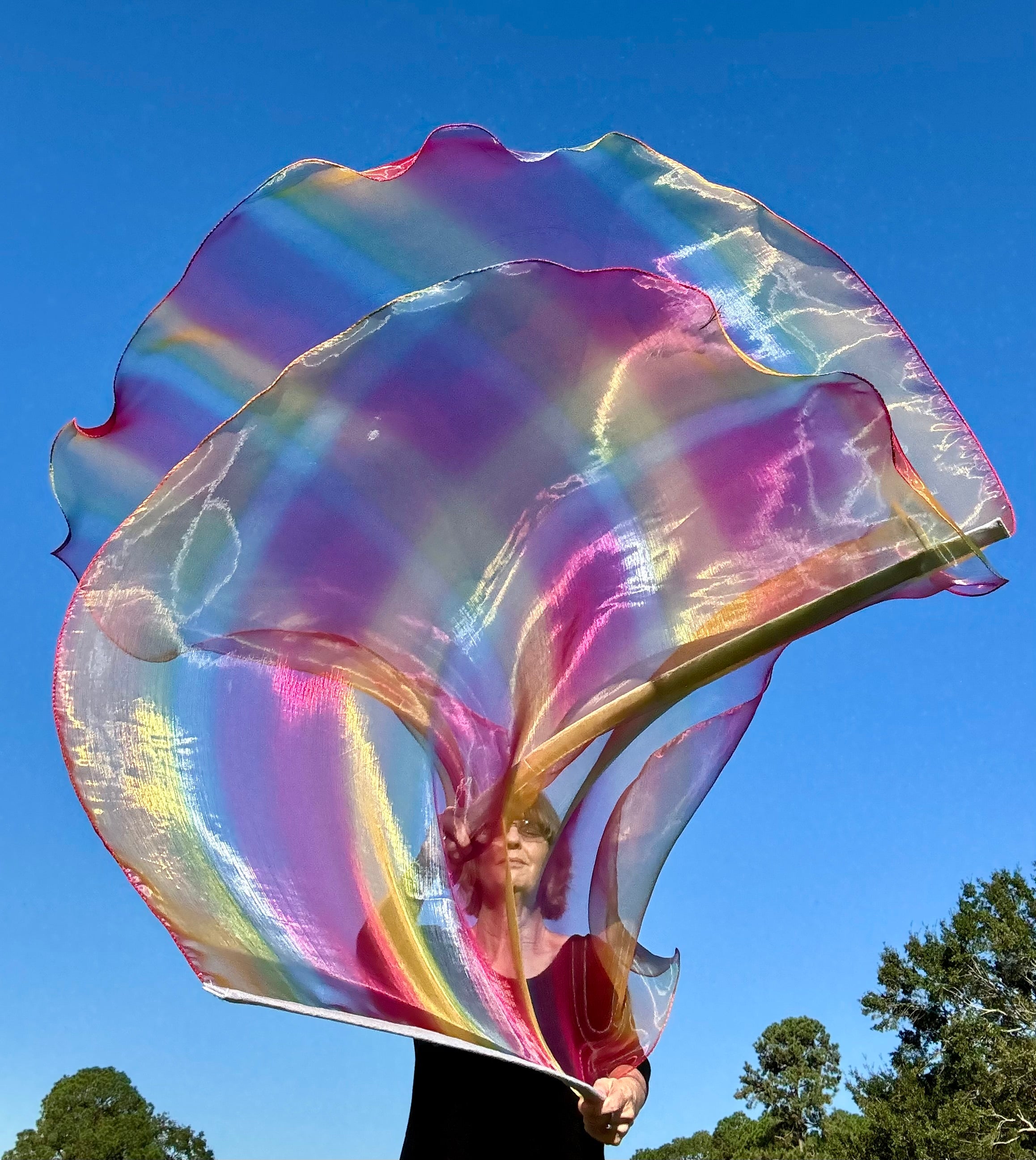 Ade Flags God's Promise Worship Praise Dance Flags (Large) – Weapons of Worship
