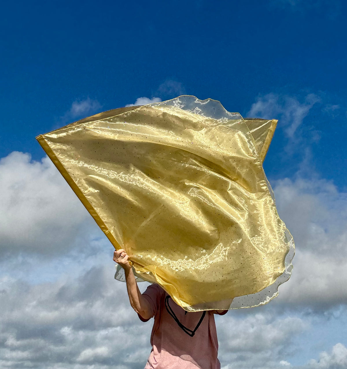 Glory Worship Praise Dance Flags DOUBLE LAYER (Medium)