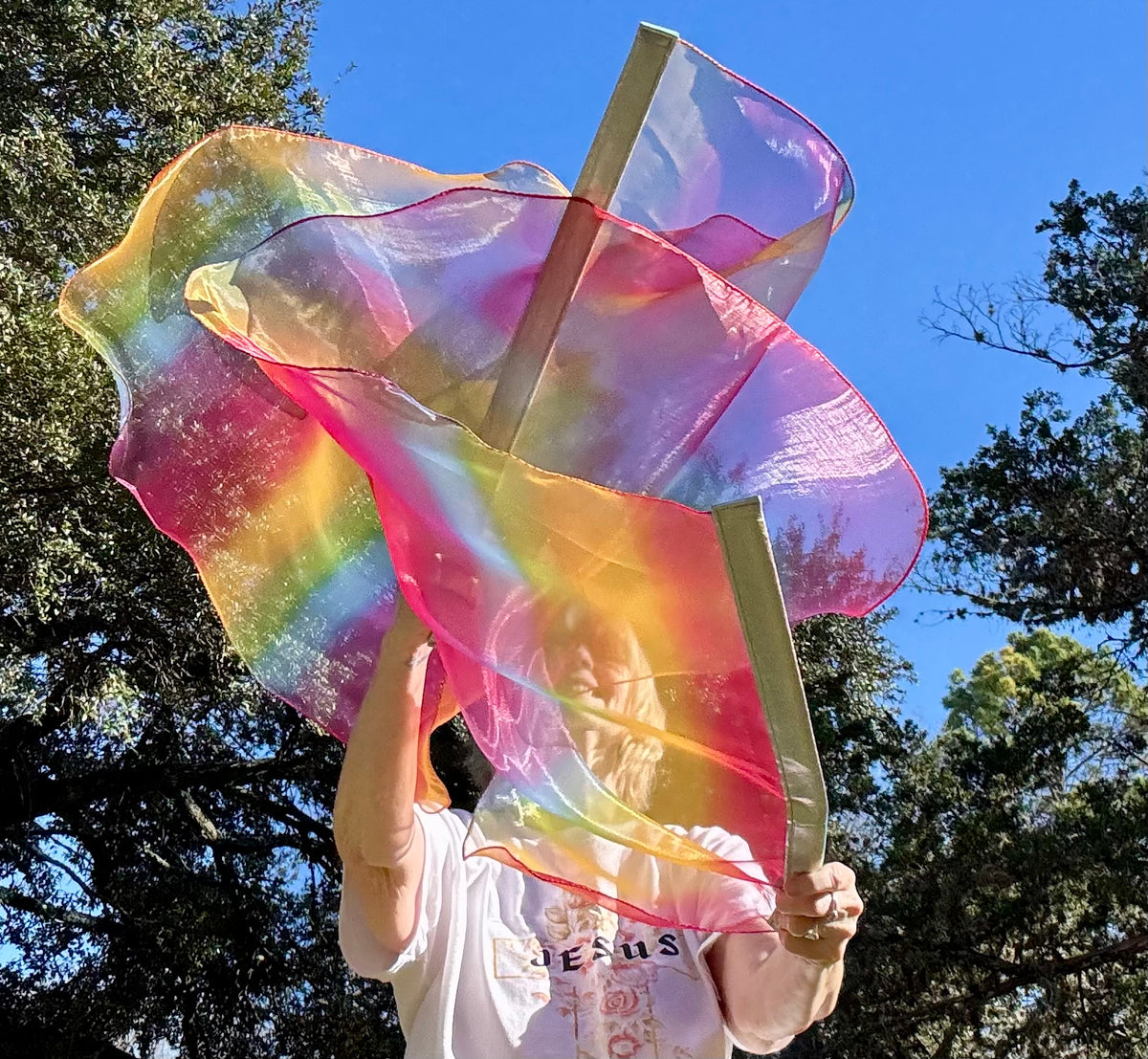 God's Promise Worship Praise Dance Flags (Small)