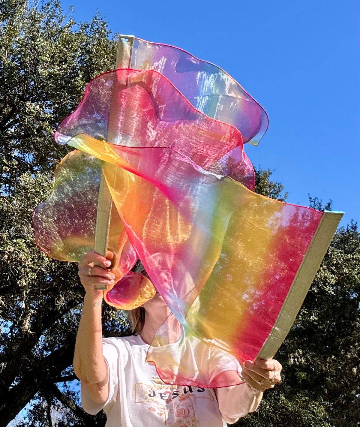 God's Promise Worship Praise Dance Flags (Small)
