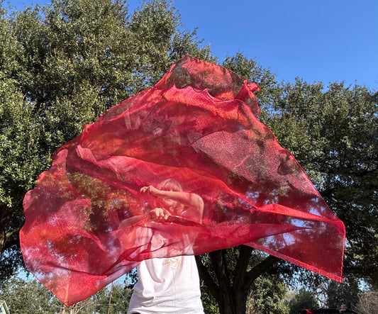 Blood of Christ Worship Dance Praise Flag (Large)