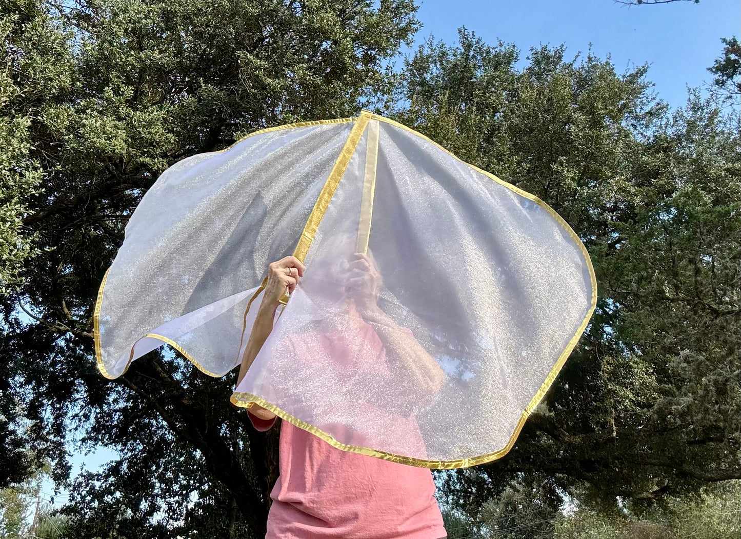 Bride of Christ Worship Praise Dance Flags (Small)