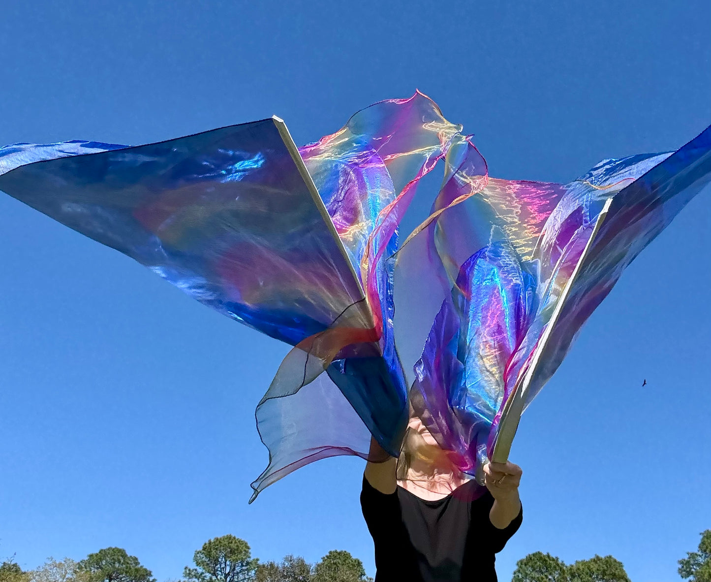Heaven's Breath Worship Dance Praise Flag (Large)