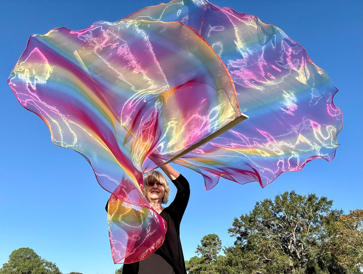 God's Promise Worship Praise Dance Flags (Large)