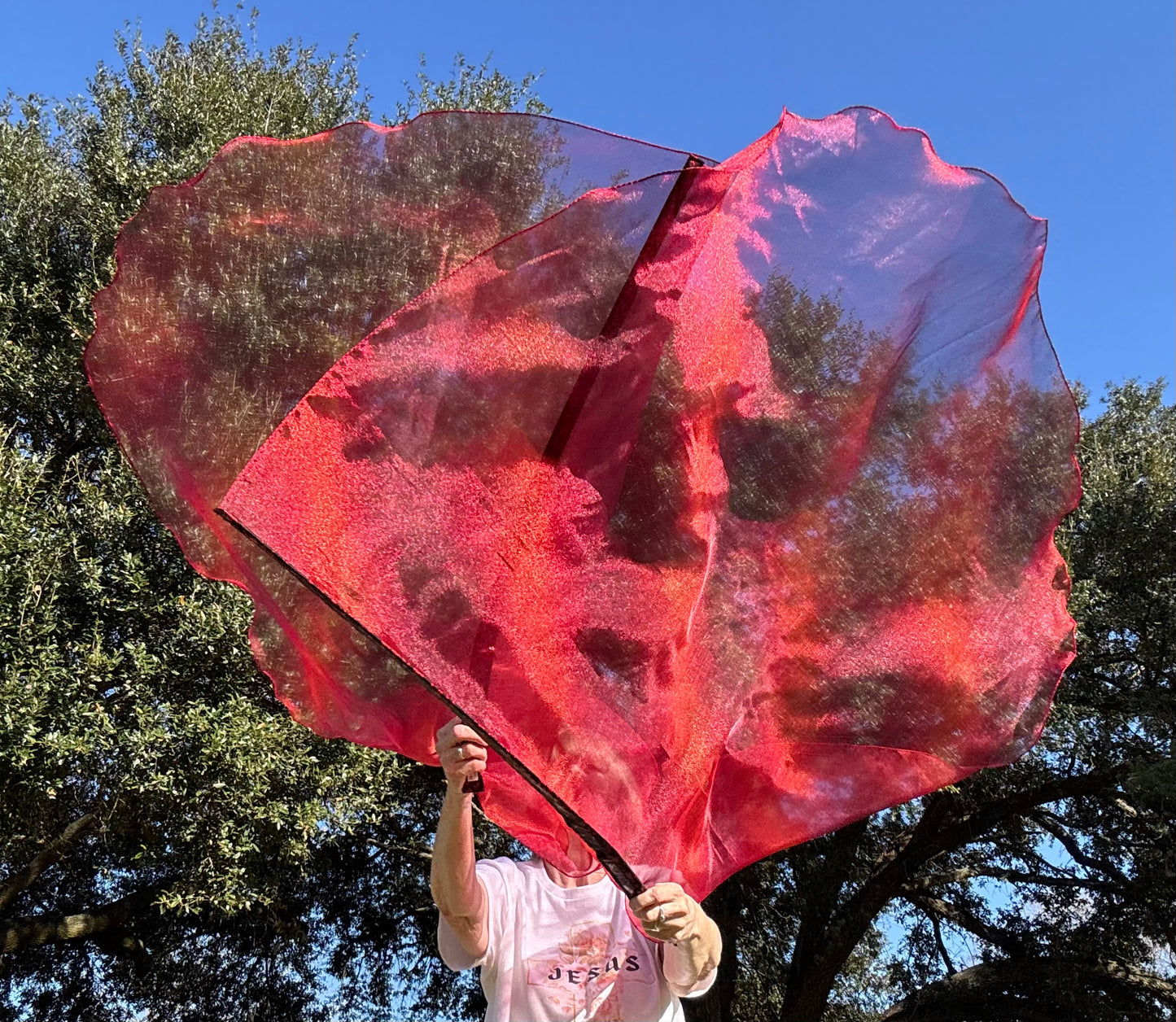 Blood of Christ Worship Dance Praise Flag (Large)