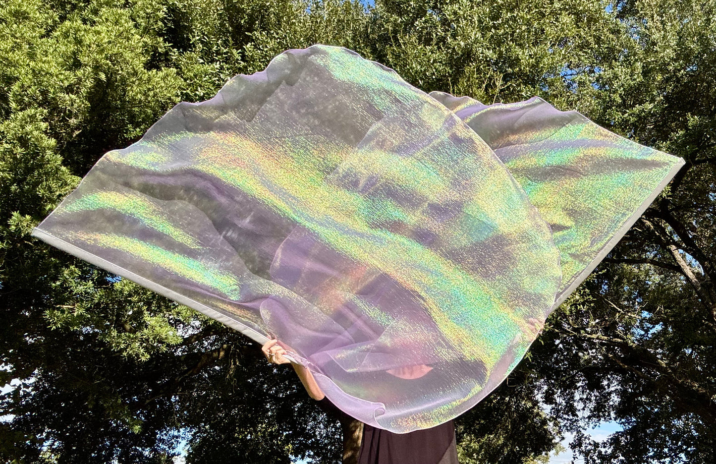 Dew from Heaven Worship Praise Dance Flags (Large)