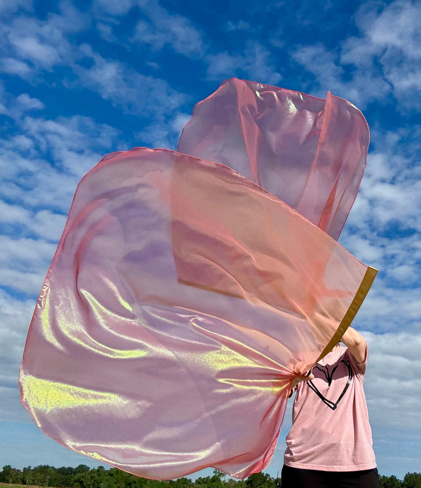 REfresh Worship Praise Dance Flags (LARGE)