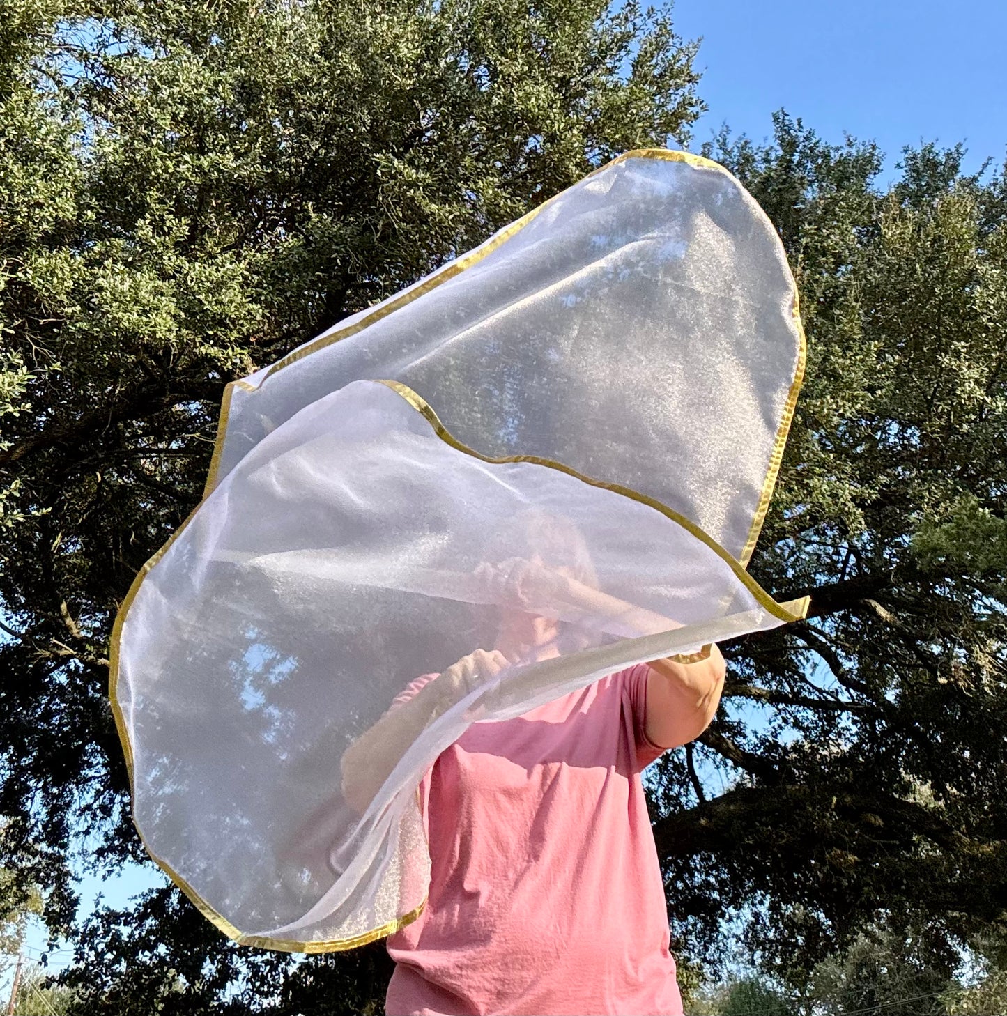 Bride of Christ Worship Praise Dance Flags (Small)