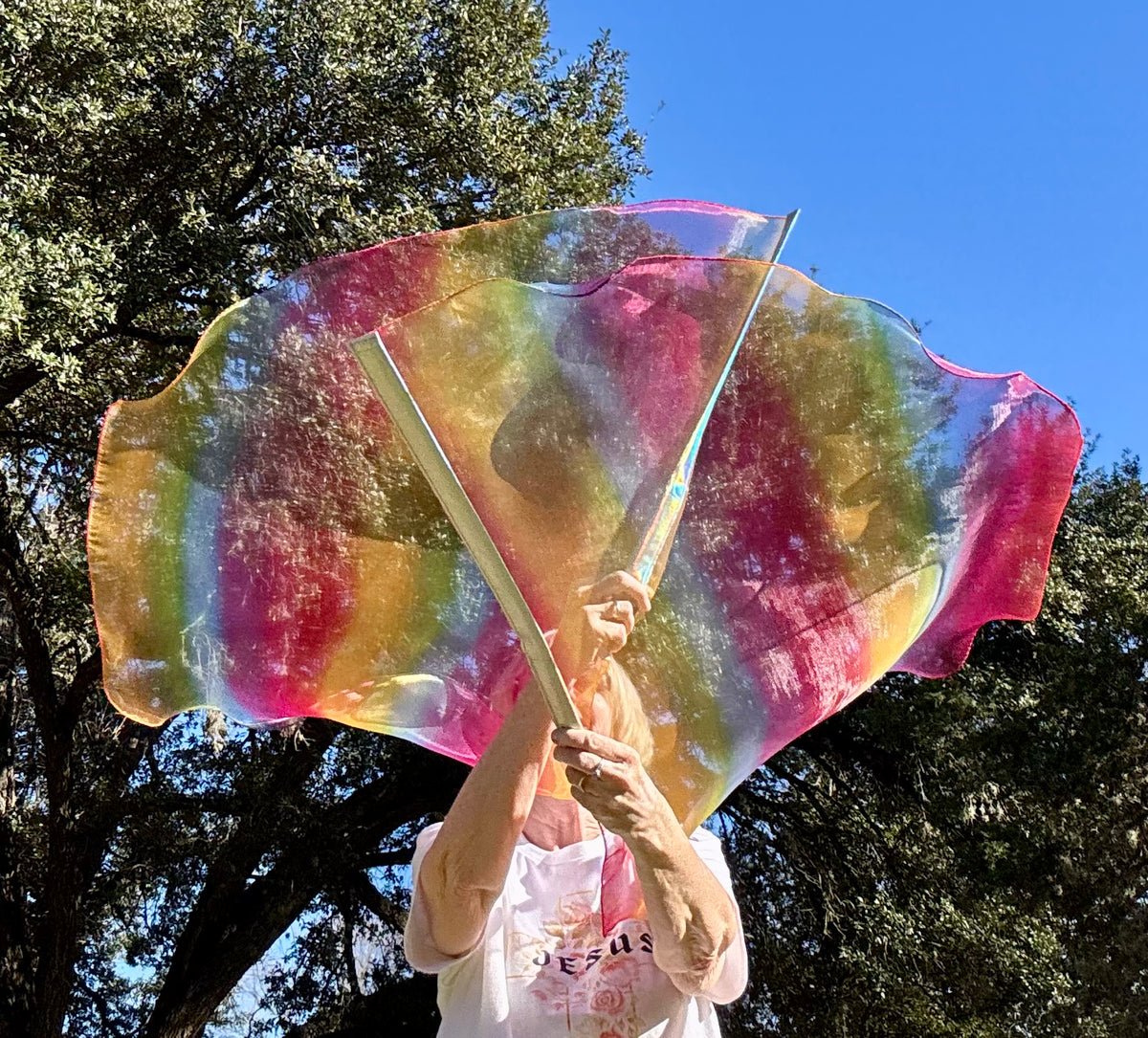 God's Promise Worship Praise Dance Flags (Small)
