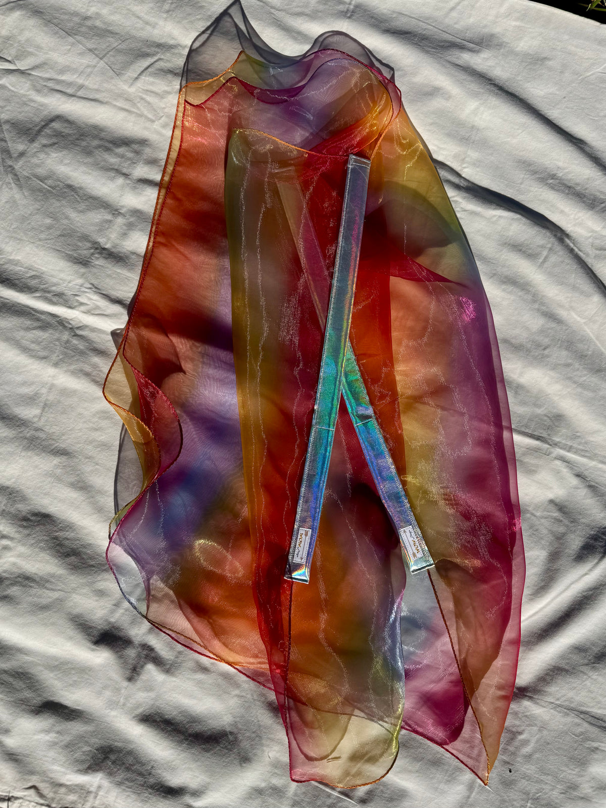 God's Promise Worship Praise Dance Flags (Small)