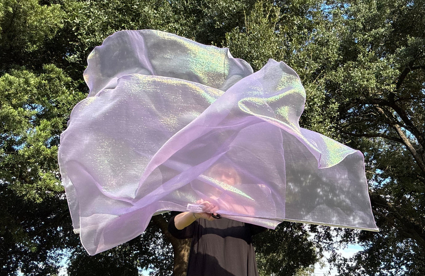 Dew from Heaven Worship Praise Dance Flags (Large)