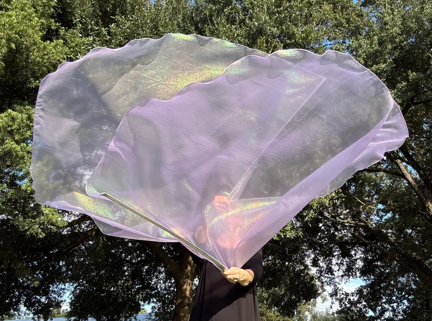 Dew from Heaven Worship Praise Dance Flags (Large)