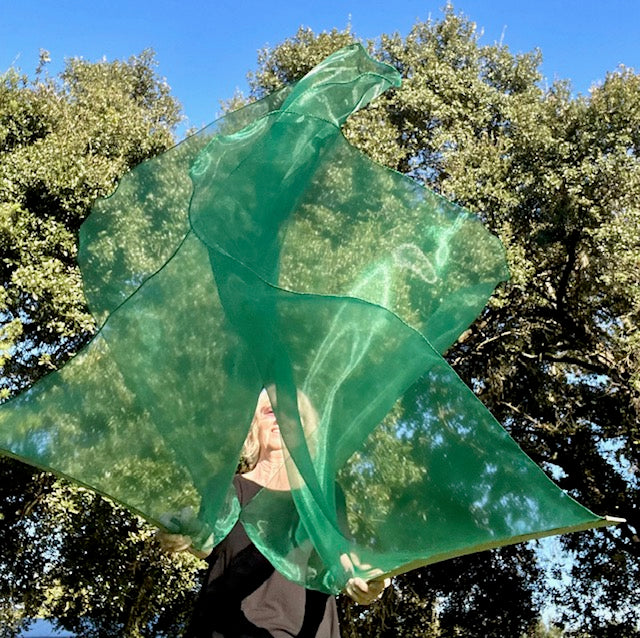 Restoration Worship Praise Dance Flags (Large)